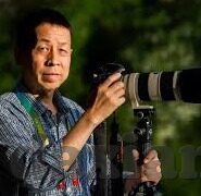 麻豆传媒免费在线观看-麻豆传媒的探索与数字时代的便利性