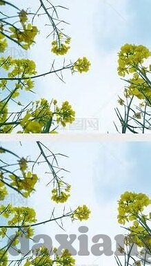 香蕉久久一区二区不卡无毒影院-香蕉久久一区二区不卡无毒影院，网络观影新体验